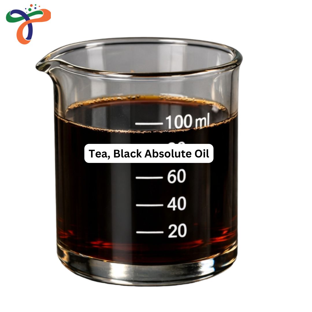 Tea, Black Absolute Oil